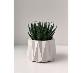 Кашпо для цветов VILLERMO АСТРА MINI G_008 