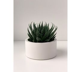 Кашпо для цветов VILLERMO MINI G_005 