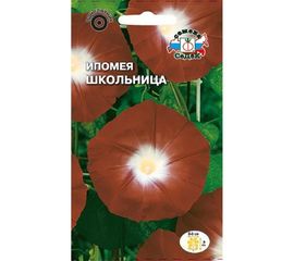 Семена СеДек Ипомея Школьница 00000015766 