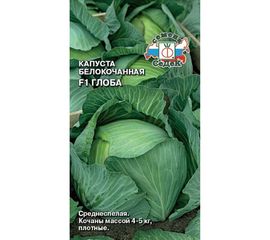 Семена СеДек капуста Глоба 00000002392 