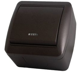 1-клавишный выключатель TDM открытой установки с подсветкой IP44 10А шоколад Селигер SQ1818-0203 