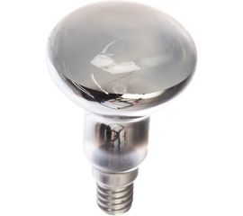 Лампа накаливания, зеркальная матовая Camelion MIC 60/R50/FR/E14 12660 