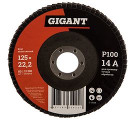 Круг лепестковый (125x22.2 мм; P100) Gigant G-11038 