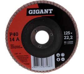 Круг лепестковый торцевой (125x22.2 мм; P40) Gigant GRF-40 