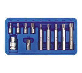 Набор бит SPLINE (11 шт, М5-М12) в пластиковом боксе VOREL 66770 