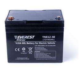 Тяговая аккумуляторная батарея EVEREST Energy TNE 12-40 