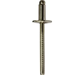 Вытяжная заклепка Daxmer 4.8х21х14 мм нерж/нерж 23281 