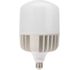 Светодиодная высокомощная лампа REXANT 100 Вт, E27, с переходником, E40, 9500 Лм, 6500K, холодный свет 604-072 