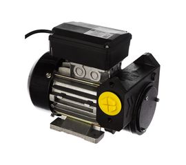 Самовсасывающий роторный лопастной электронасос для ДТ Gespasa IRON-50 230V AC 00190 