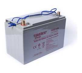 EVEREST Energy Тяговые аккумуляторные батареи TNE 12-125 