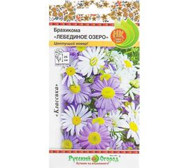 Семена РУССКИЙ ОГОРОД Цветы Брахикома Лебединое озеро 0.1 г 702190 
