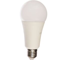 Лампа Gauss LED Elementary A67 35W E27 2790lm 6500K 70235 
