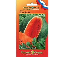 Семена РУССКИЙ ОГОРОД Арбуз Холодок О.Ю. 1 г 324418 