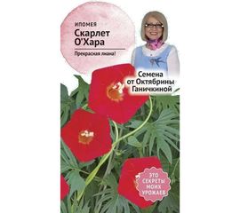 Семена ОКТЯБРИНА ГАНИЧКИНА Ипомея Скарлет о Хара 0.5 г 119333 