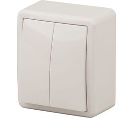 Двойной выключатель с подсветкой ЭРА 11-1205-02 10АХ-250В, IP20, ОУ, Эксперт, сл.кость Б0020667 