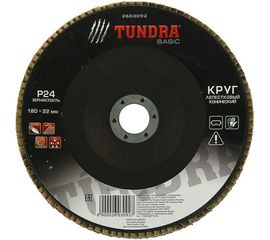 Круг лепестковый торцевой конический (180х22 мм; Р24) TUNDRA 2603092 