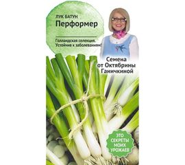 Семена ОКТЯБРИНА ГАНИЧКИНА Лук батун Перформер 0.15 г 121246 
