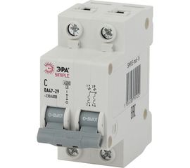 Автоматический выключатель ЭРА NO-900-23 ВА47-29 2P 5А кривая C Б0031755 
