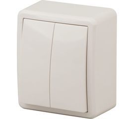 Двойной выключатель ЭРА 11-1204-02 10АХ-250В, IP20, ОУ, Эксперт, сл.кость Б0020664 