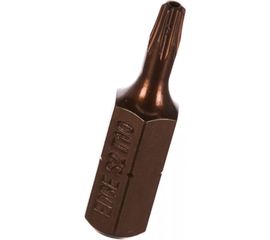 Бита (2 шт; T10; 25 мм) EDGE by PATRIOT 818010017 