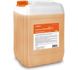 Жидкость антипригарная SebroHim Professional 10 л СеброХим 4687201690306 