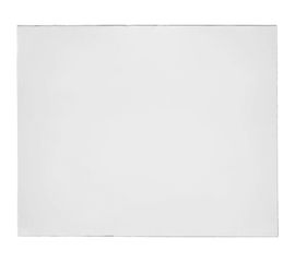 Пластина защитная поликарбонатная (50 шт; 110х90 мм) ПТК 00000022343 