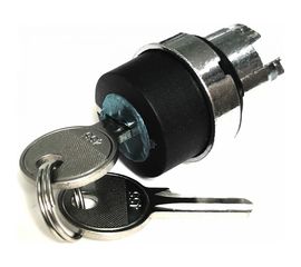 Головка переключателя Briswik 22мм 2 поз ключ фиксация металл КПЕ 11КС IP40 LAY4-BG2.BR 