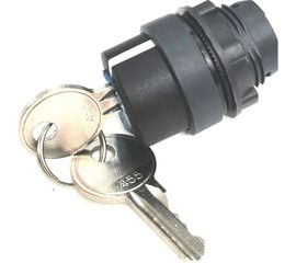 Головка переключателя Briswik 22мм 3 поз ключ возврат КПЕ 41К IP40 LAY4-EG5.BR 