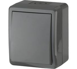 Выключатель ЭРА 11-1401-03 IP54, 10АХ-250В, ОУ, Эксперт, серый Б0020670 