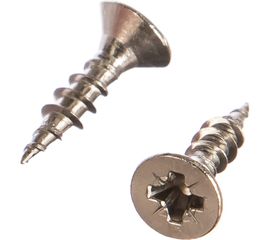 Универсальный шуруп ЕВРОПАРТНЕР с пот. гол. 4х16 нержав. сталь 15 шт. G2 4016 1 