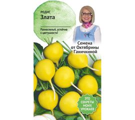 Семена ОКТЯБРИНА ГАНИЧКИНА Редис Злата 2 г 119143 