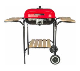 Гриль-коптильня Green glade ASK18 