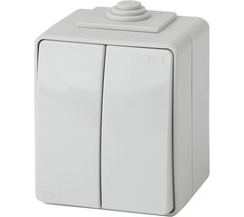 Двойной переключатель ЭРА 11160603 IP65, 10АХ250В, ОУ, Эксперт, серый Б0035979 