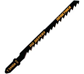 Пилки для лобзиков T244DA (2 шт) ПРАКТИКА 776-973 