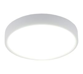 Светодиодный стационарный светильник Elektrostandard DLR034 24W 4200K a043016 