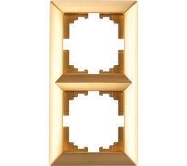 Рамка Intro 450204 на 2 поста, СУ, Solo, шампань Б0043413 