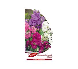 Семена Агрони Левкой маттиола седая МИКС 8924 