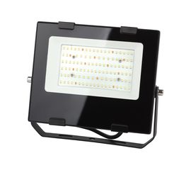 Прожектор ЭРА FITO50WRa90LED, для цветения и плодоношения, 10/300 Б0047875 