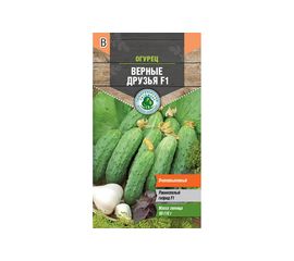 Семена Тимирязевский питомник огурец Верные друзья F1 (для засолки) 10 шт. 4607189275579 