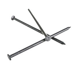 Строительные гвозди Gigant 4,0x100 мм, 5 кг G-925566 