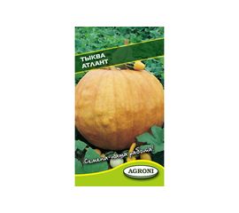 Семена Агрони Тыква АТЛАНТ 1895 