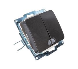 Двухклавишный выключатель с индикатором СВЕТОЗАР ГАММА, SV-54135-DM 