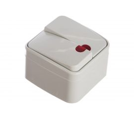 Двойной выключатель с подсветкой, Intro 310501 10А, 250В, IP20, ОУ, Polo Б0036096 