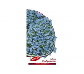 Семена Агрони Лобелия КЭМБРИДЖ БЛЮ 5619 