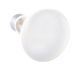 Лампа накаливания OSRAM направленного света CONC R63 SP 40W 230V E27 FS1 4052899182240 