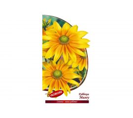 Семена Агрони Рудбекия МИЗОУ 3189 