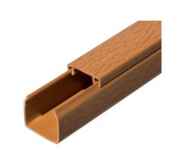 Кабель-канал Промрукав бук 2-й замок 25х25 2-х метровый PR.025430 