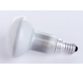 Лампа накаливания OSRAM направленного света CONC R50 SP 25W 230V E14 FS1 4052899180468 