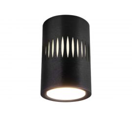 Стационарный светодиодный светильник Elektrostandard DLS026 черный a052837 