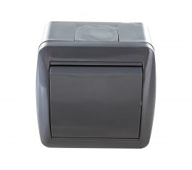 1-клавишный выключатель TDM открытой установки IP44 10А серый "Селигер" SQ1818-0101 